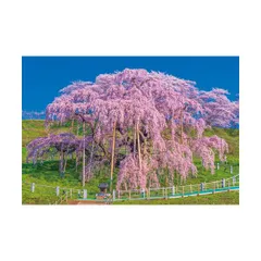 sale【ART】中垣龍一真筆(三春の滝桜)サムホール 2025年最新】三春の滝桜の人気アイテム - メルカリ
