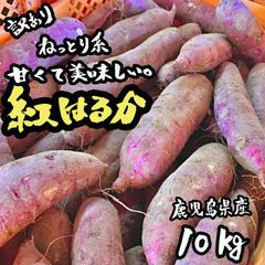 【熟成】小サイズ 訳あり 紅はるか 10㎏ さつまいも 鳴門金時好きにも