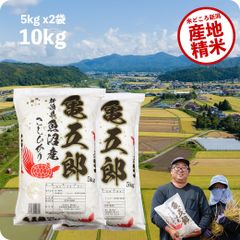 米 亀五郎さんのコシヒカリ10kg お米 令和5年産 白米