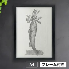 〇Bi1076 PHISH フィッシュ ポスター フレーム バンドポスター 〇Bi1076 PHISH フィッシュ ポスター フレーム バンドポスター