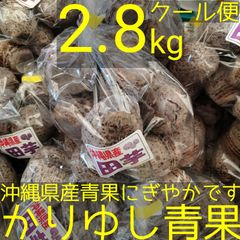 沖縄 金武町産 田芋(ターム)約2.8kg【クール便】③