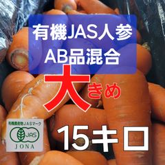 赤字覚悟の大特価セール！大きめサイズ有機人参　Ｌ～3L以上　１５キロ