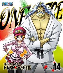 [중고] ONE PIECE 원피스 17TH 시즌 드레스 로자 편 piece.14 [Blu-ray]