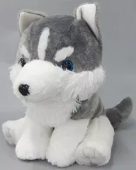 2025年最新】ツンドラオオカミの人気アイテム - メルカリ