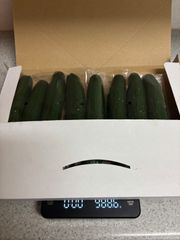 【福島県産】岩瀬きゅうり1kg