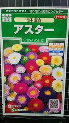 アスター 松本 種 ３袋セット