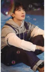 【中古】コレクションカード(男性) SEVENTEEN/WONWOO(ウォヌ)/裏面緑/CD「JAPAN 1ST EP DREAM」Loppi・HMV限定特典スペシャルフォトカード