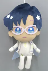 【中古】ぬいぐるみ プリンス・エンディミオン でっかいゆめちっく☆どーる～プリンセス・セレニティ/プリンス・エンディミオン～ 「劇場版 美少女戦士セーラームーンEternal」