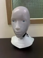 2025年最新】アイロボット サニーの人気アイテム - メルカリ