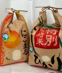 【味くらべ】令和５年産 福井県越前市産コシヒカリ&にこまる10キロ 特別栽培米