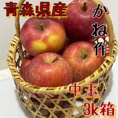 家庭用りんご　3k箱　ふじ　中玉　青森県産弘前訳あり3kg