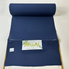夏着物 絽縮緬 ぼかし ワイドサイズ“淡い涼味、情緒を散らす隠し