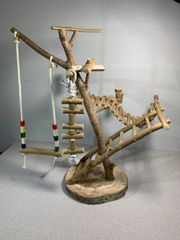 バード　アスレチック　ジム　桑の森