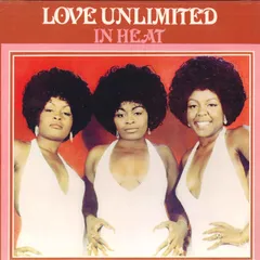 【新品未開封】【レコード】Unlimited Love Red Hot Chili Peppers Unlimited Love (Standard 2LP Vinyl) LP