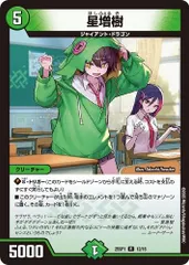 星増樹 レア (4枚セット) 25SP1 12/16  「ドラゴン娘になりたくないっ!」Jack-Pot-Live!! in 桜龍高校 デュエマ トレカ道