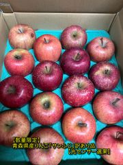 【数量限定】青森県産りんご「サンふじ」訳あり品 約5kg 【光センサー選果済】