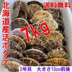 北海道産 活ホタテ 生食 殻つきホタテ バーベキュー 7kg 60-70枚前後