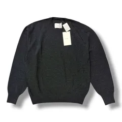 未使用品 stein ハイネックニット ダークチャコール D 2025年最新】stein ニットの人気アイテム - メルカリ