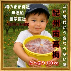 農家直送！紀州南高梅 樽 10kg つぶれ梅 無添加 和歌山 紀州 白梅 梅の宝石箱 和の極み 紀州梅干 梅干しでお茶漬け 昔ながらの梅 紀州の恵み グルメ特集1
