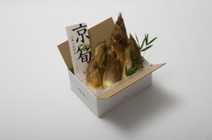 《予約販売/数量限定》朝掘り直送 京筍【京都市大原野産】