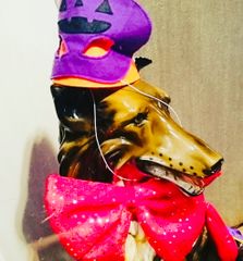 Lサイズ】新品 JOAN 社交ダンスフラワープリントカットソー