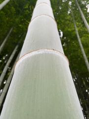 竹太鼓 太鼓 - メルカリ