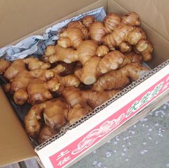 ワクトフーズ - メルカリShops 