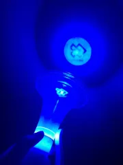 SHOP | BTOB/MELODY JAPAN