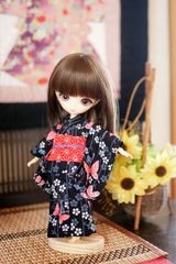 ハルモニアブルーム