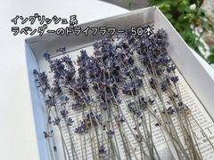 夢農場産　ラベンダー　ドライ　50本