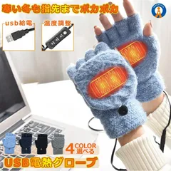 電熱グローブ PC用 温度 調節 可能 ヒーターグローブ USB式 バイク 自転車 速暖 防風 保温 防寒 寒さ対策 作業 ONCHOGGU 定形外