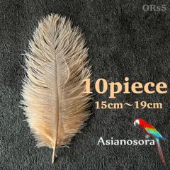 ◾️⭐︎【ORs5ベージュ】10本15-19cm オーストリッチ フェザー 羽根