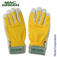 Item thumbnail for item f7c93ef9-7416-456c-8486-ba78005872fc