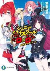 2025年最新】ハイスクールd×d 小説の人気アイテム - メルカリ