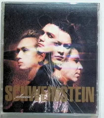 邦楽 SCHWEIN SCHWEINSTEIN 邦楽 SCHWEIN SCHWEINSTEIN Amazon.com: Schweinstein: CDs & Vinyl