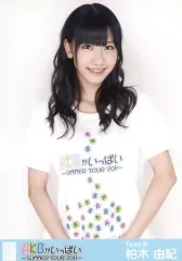 【中古】生写真(AKB48・SKE48) 柏木由紀/上半身/「AKBがいっぱい SUMMER TOUR 2011」会場限定