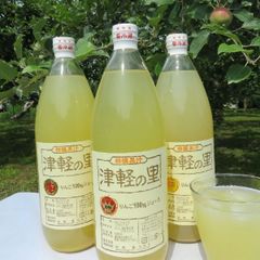 青森県産100%りんごジュース｢津軽の里｣（1L×3本）