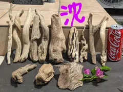 アク抜き済み流木【951】セール 楽天市場】流木 アク抜き 済みの通販