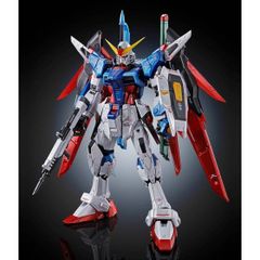 RG 1/144 デスティニーガンダム チタニウムフィニッシュ プレミアムバンダイ ガンプラ 新品 機動戦士ガンダムSEED DESTINY