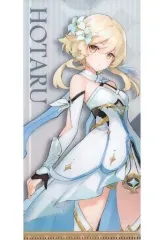 【中古】収納・携帯用アイテム 蛍 オリジナルチケットファイル 「原神×セガ」 プライズキャンペーン UFOキャッチャー特典のサムネイル