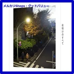 新品未開封★ 夜明けのすべて DVD（特装限定版） 松村北斗 上白石萌音 【安心・匿名配送】メルカリShops：グッドバリューが出品