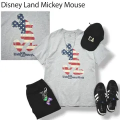 【人気】 ディズニーランド Disney Land ミッキー 星条旗柄 プリント 半袖 Tシャツ ヘインズ製 M グレー メンズ
