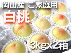 【冷蔵便　ご家庭用】岡山産　白桃　約3ｋｇｘ2箱（1箱10～16玉入り）