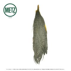 Item thumbnail for item 209cdb47-e182-4793-9b8a-15e6a395bac4