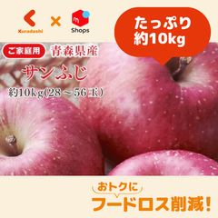 青森県産「訳あり サンふじりんご」約10kg（28～56玉）【賞味期限内かつ、ご注文日から7日（平日）を目処に発送いたします。】