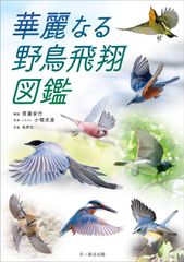 極美品】ペーパーバック版 日本の野鳥セット 薮内正幸 - メルカリ