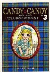 キャンディ♡キャンディ 中公文庫コミック版 2巻 3巻セット - メルカリ