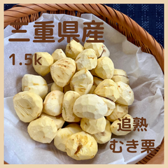 とれたて追熟むき栗【三重県産】冷凍パック1.5k