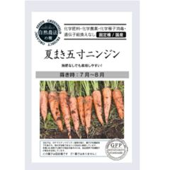 【ポスト投函便】グリーンフィールドプロジェクト　夏まき五寸ニンジン【自然農法の種・固定種・国産】　根菜　夏