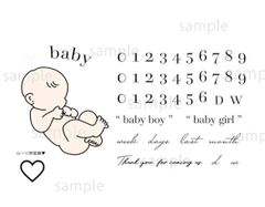 【半額以上】マタニティペイントシール マタニティフォトシール blanco ブランコ 妊婦 妊娠 赤ちゃん baby 週数 セルフマタニティフォト ベリーペイントシール セルフマタニティフォトb